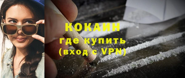 дживик Краснослободск