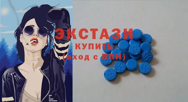 дживик Краснослободск