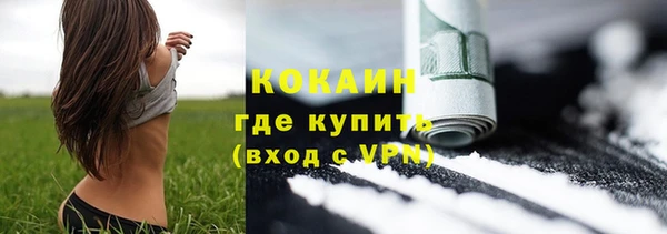 дживик Краснослободск
