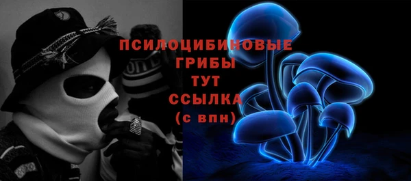 дживик Краснослободск