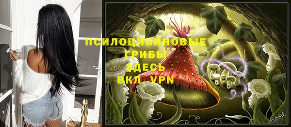 дживик Краснослободск