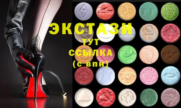 дживик Краснослободск